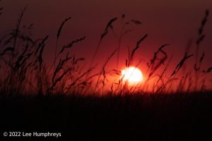 Pen-y-ghent & Plover Hill II – Wild Camp #035