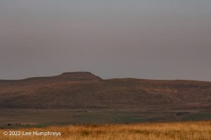 Pen-y-ghent & Plover Hill II – Wild Camp #035