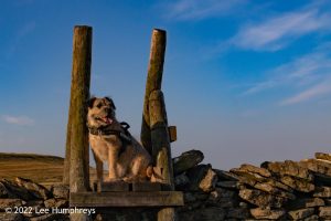Pen-y-ghent & Plover Hill II – Wild Camp #035