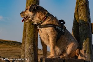 Pen-y-ghent & Plover Hill II – Wild Camp #035