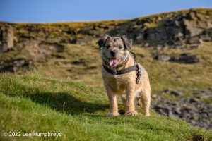 Pen-y-ghent & Plover Hill II – Wild Camp #035