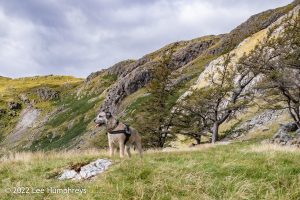 #036: Wetherlam, Lake District