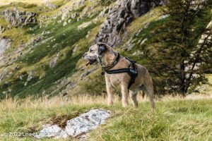 #036: Wetherlam, Lake District