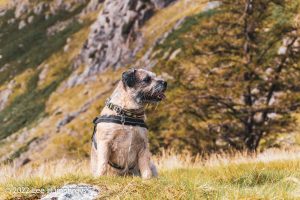 #036: Wetherlam, Lake District