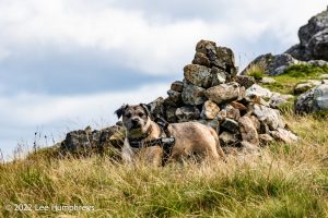 #036: Wetherlam, Lake District