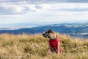 #036: Wetherlam, Lake District