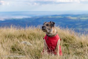 #036: Wetherlam, Lake District