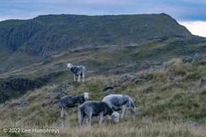 #036: Wetherlam, Lake District