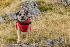 #036: Wetherlam, Lake District