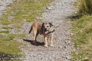 High Cup Nick – Wild Camp #037