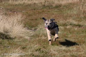High Cup Nick – Wild Camp #037