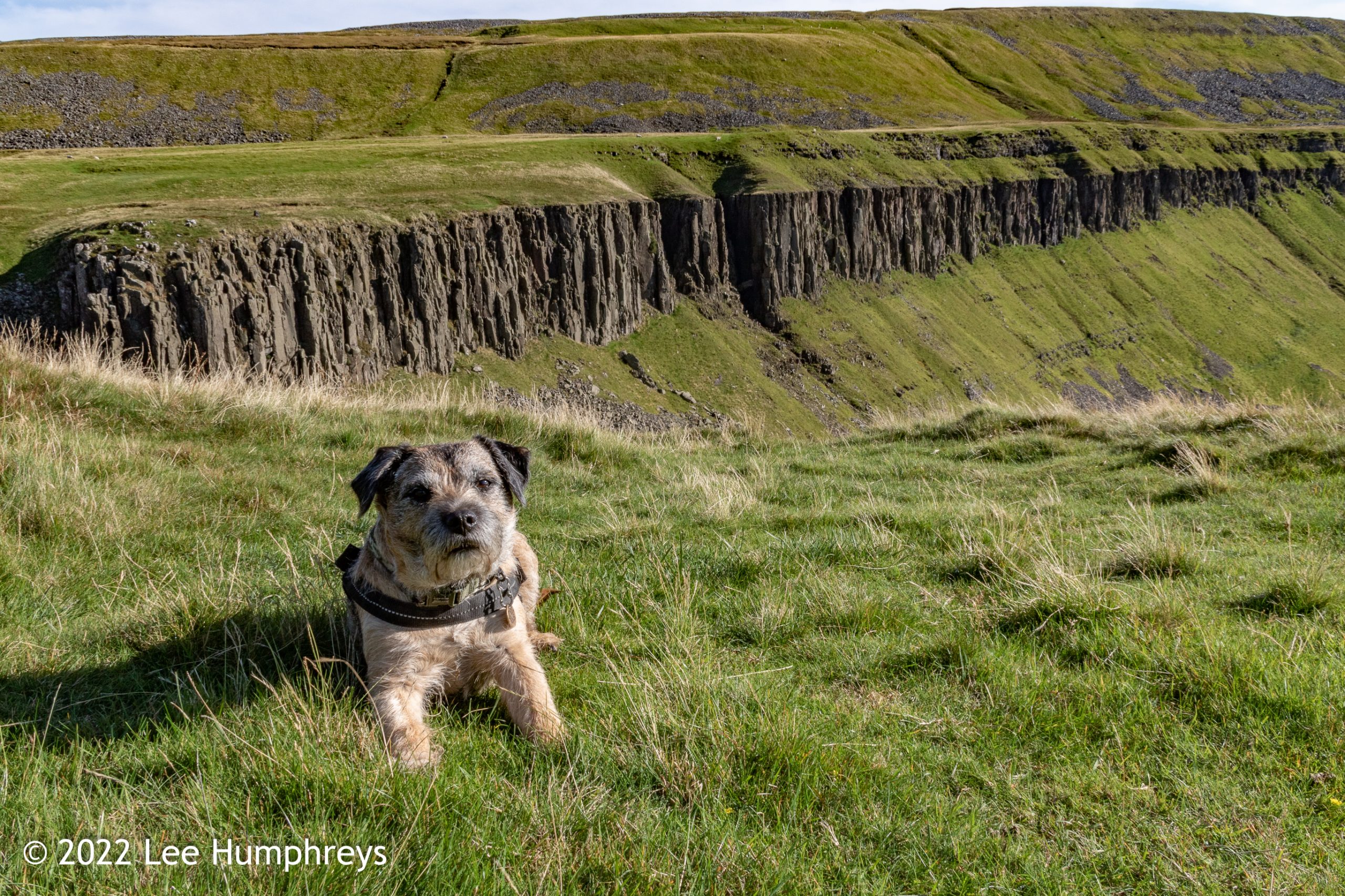 HarryDog having a rest with High Cup Nick in the background.