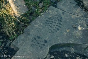 High Cup Nick – Wild Camp #037