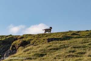 High Cup Nick – Wild Camp #037