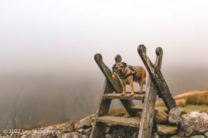 High Cup Nick – Wild Camp #037