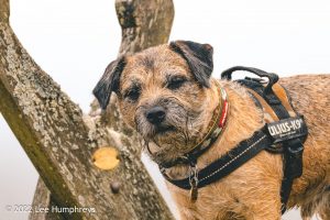 High Cup Nick – Wild Camp #037