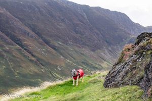 Dalehead Tarn, Lake District – Wild Camp #038