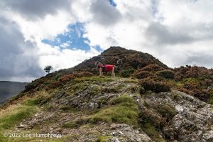 Dalehead Tarn, Lake District – Wild Camp #038