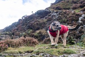 Dalehead Tarn, Lake District – Wild Camp #038