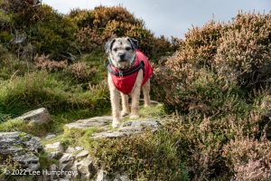 Dalehead Tarn, Lake District – Wild Camp #038
