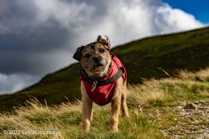 Dalehead Tarn, Lake District – Wild Camp #038