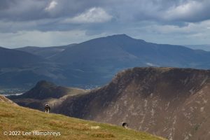 Dalehead Tarn, Lake District – Wild Camp #038