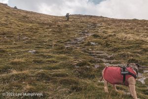 Dalehead Tarn, Lake District – Wild Camp #038