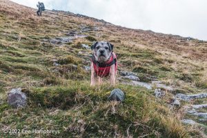 Dalehead Tarn, Lake District – Wild Camp #038