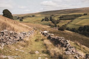 Abel Cross & Lumb Falls