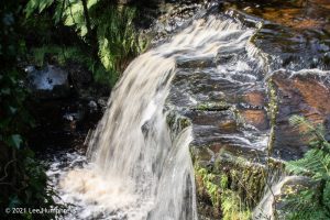 Abel Cross & Lumb Falls
