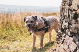 Abel Cross & Lumb Falls