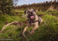 Abel Cross & Lumb Falls