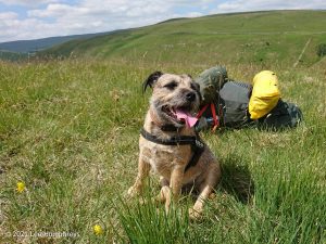 Arncliffe Circular – Wild Camp #011