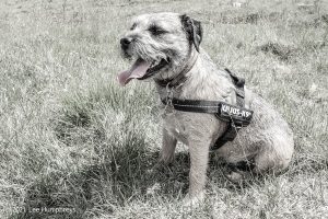 Arncliffe Circular – Wild Camp #011