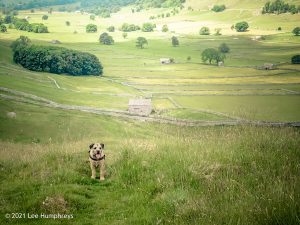 Arncliffe Circular – Wild Camp #011