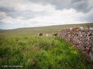 Arncliffe Circular – Wild Camp #011