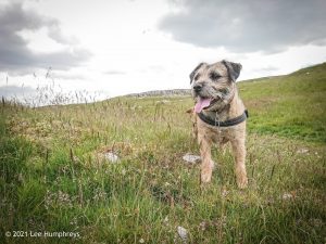 Arncliffe Circular – Wild Camp #011