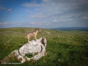 Arncliffe Circular – Wild Camp #011