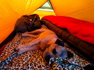 Arncliffe Circular – Wild Camp #011