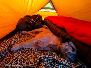 Arncliffe Circular – Wild Camp #011