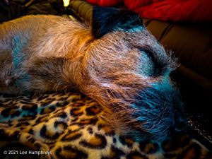 Arncliffe Circular – Wild Camp #011