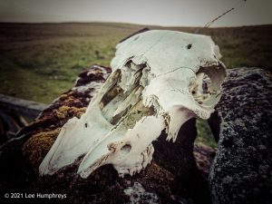 Arncliffe Circular – Wild Camp #011
