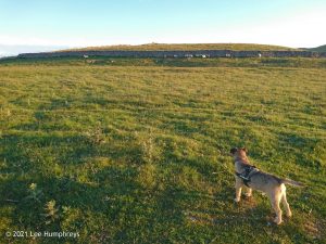 Arncliffe Circular – Wild Camp #011