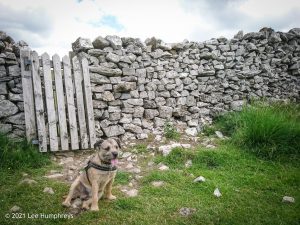 Arncliffe Circular – Wild Camp #011