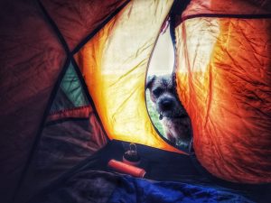 Back Pasture Hill – Wild Camp #003
