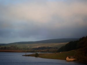Back Pasture Hill – Wild Camp #003