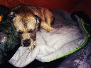 Back Pasture Hill – Wild Camp #003