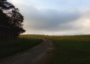 Back Pasture Hill – Wild Camp #003