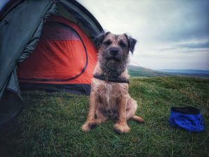 Back Pasture Hill – Wild Camp #003