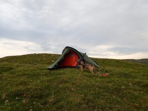 Back Pasture Hill – Wild Camp #003